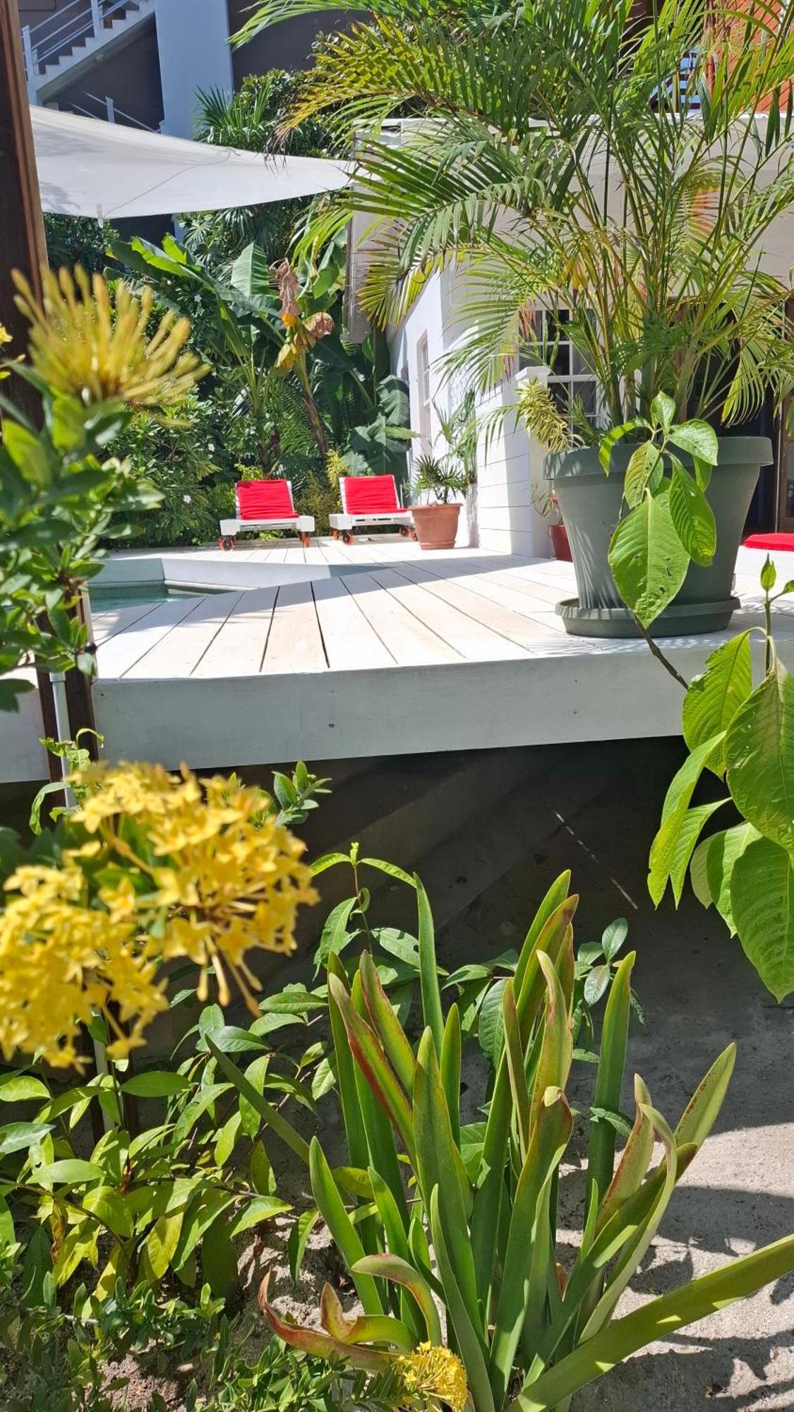 Amanda'S Place Casa Amancer - Sea View, Pool And Tropical Garden كاي كولكر المظهر الخارجي الصورة