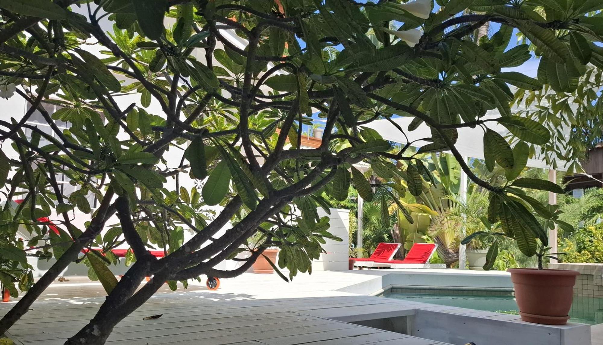 Amanda'S Place Casa Amancer - Sea View, Pool And Tropical Garden كاي كولكر المظهر الخارجي الصورة